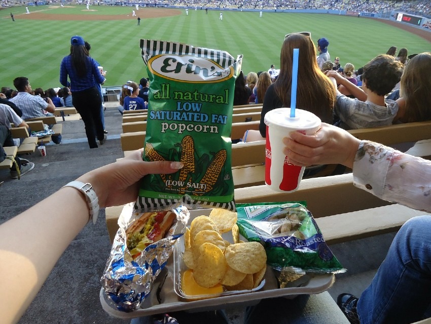 野球場で食べれるホットドッグとポテチ