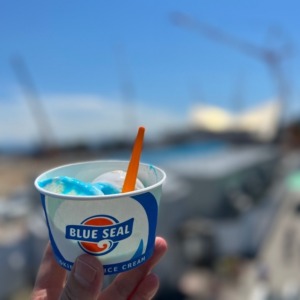 須磨水族館前【BLUE SEAL ICE CREAM】暑すぎて💦映える前に溶けてしまったアイスクリーム🍨