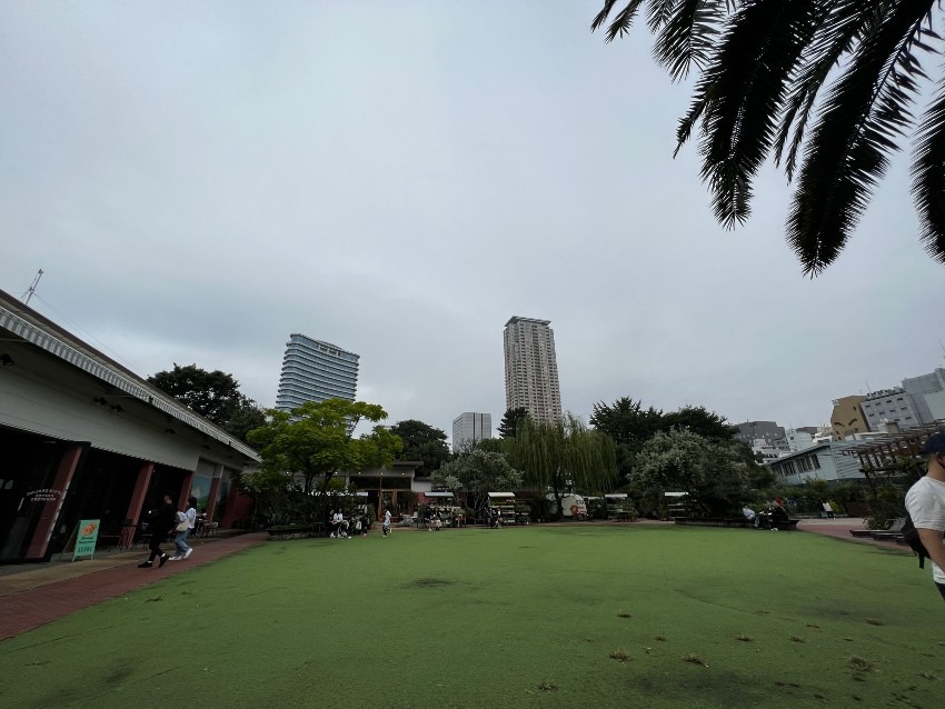 東京都港区南青山にあるカフェの楽園　東京の一等地に広大な広場がありました。